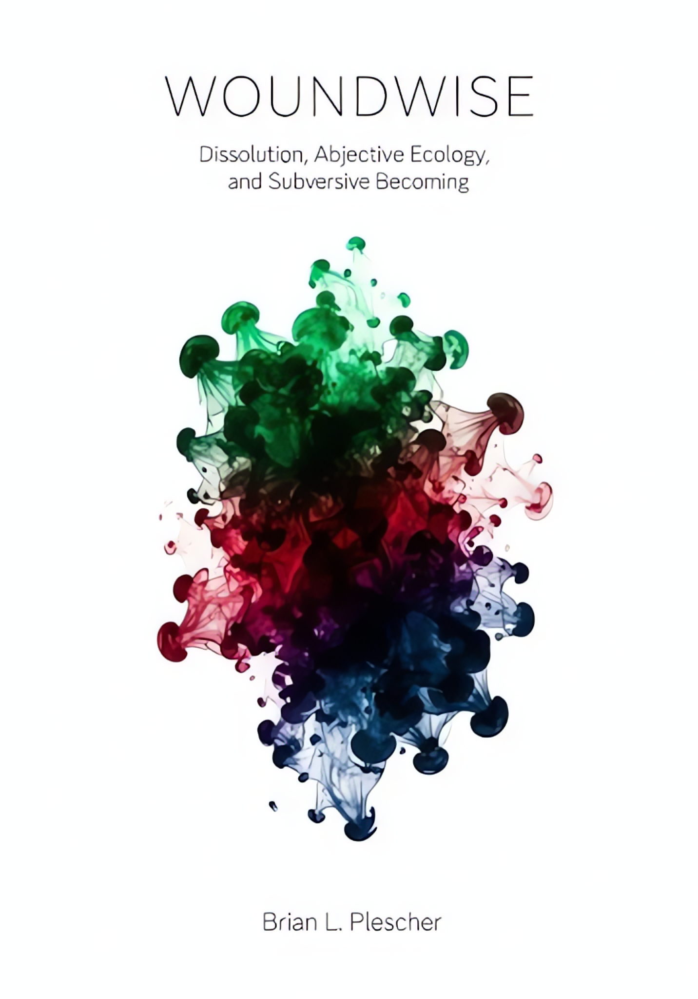 Woundwise book cover